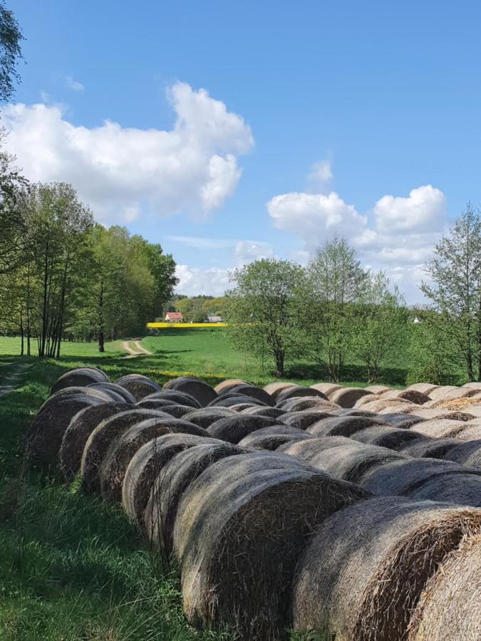 Anni'S Waldblick Leilighet Burgstadt Eksteriør bilde