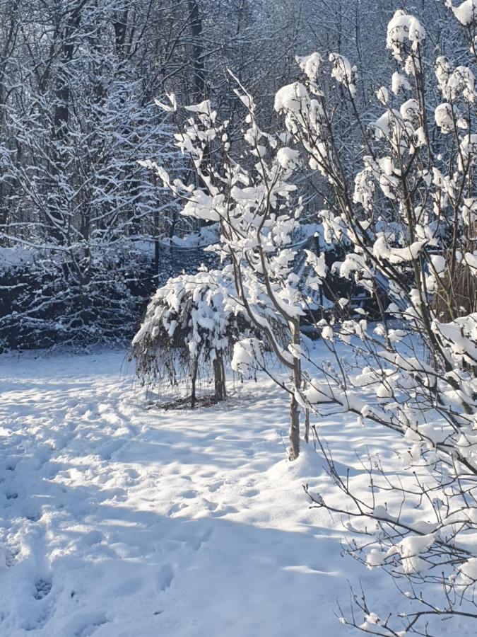 Anni'S Waldblick Leilighet Burgstadt Eksteriør bilde